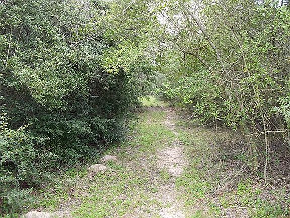 Trail through the woods