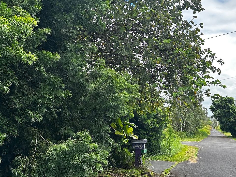 2nd image of Aloha Dr