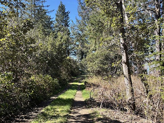 3rd image of 96475 Cape Ferrelo Rd