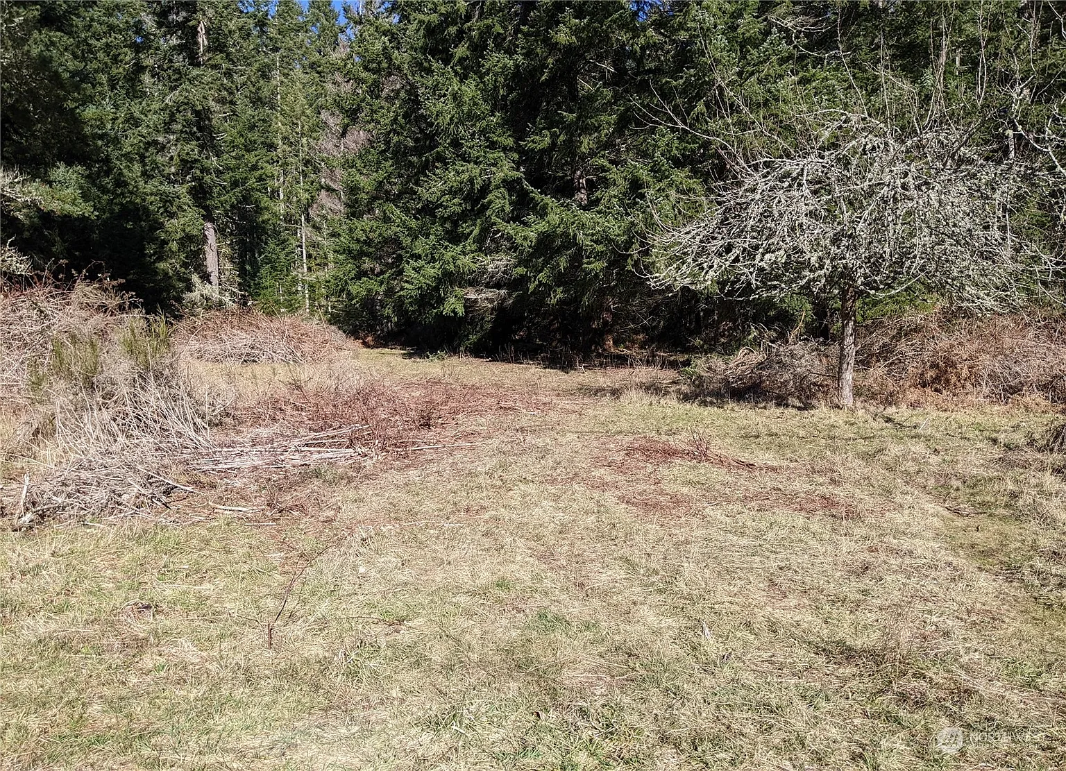 0 Andreason Road photo 1