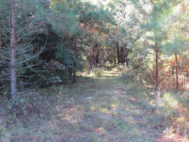 2nd image of 1116 River Pointe Dr
