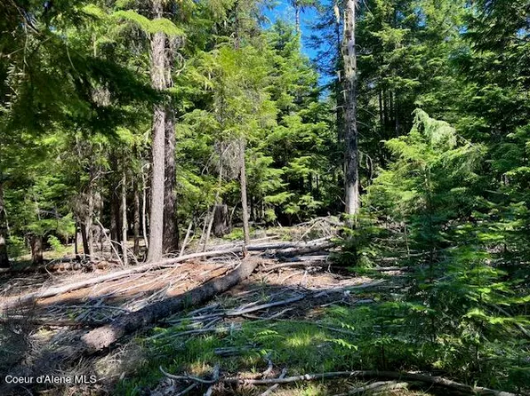 Nna Toad Rd #5ACRES, Priest River, ID 83856