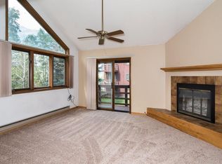 534 E 3rd St APT E106, Eagle, CO 81631