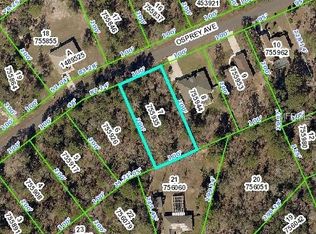 Osprey Ave, Weeki wachee, FL 34614