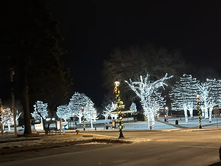 Winter view of Pearl Street Park from the front porch