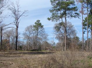 10140 County Road 1125, Tyler, TX 75709