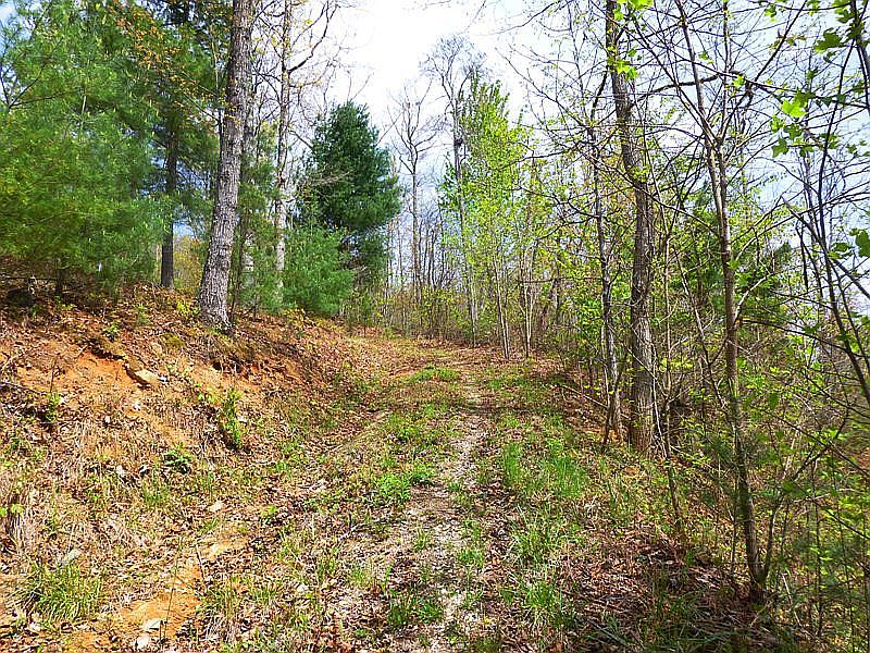 1st image of Laurel Branch Road