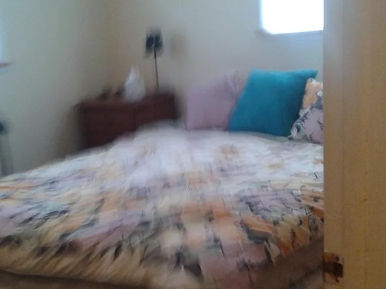 237 W Slade St #1 — Photo 6