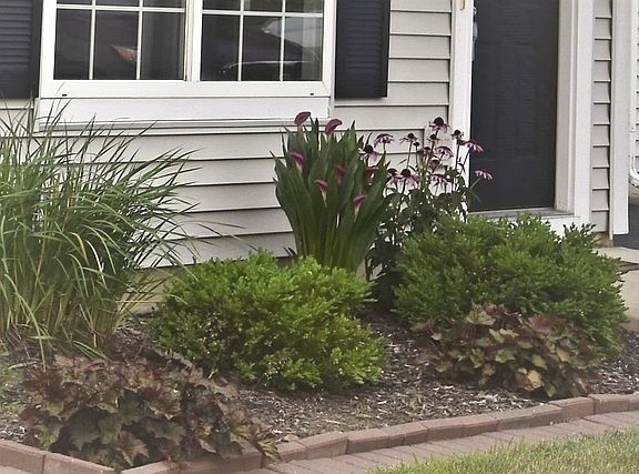 4th image of 2427 Mayfield Dr