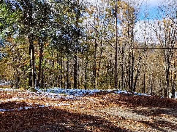 1026 Charter Hills (plus Tract 2) Road, Beech Mountain, NC 28604