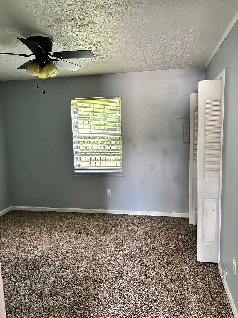 354 Shelby Ave — Photo 1