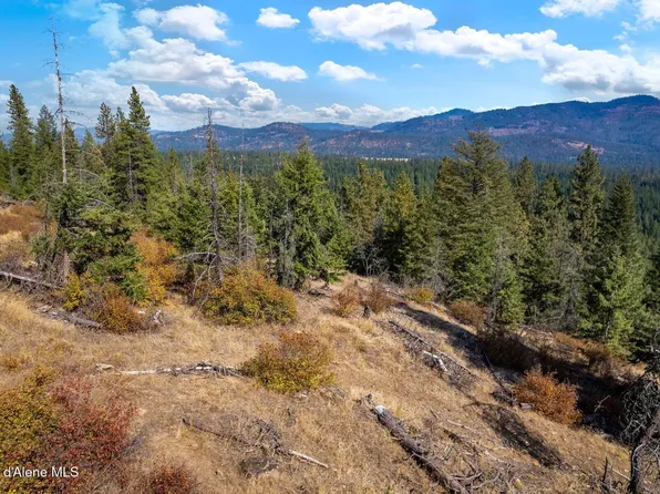 Nna Horn Mountain Rd, Priest River, ID 83856