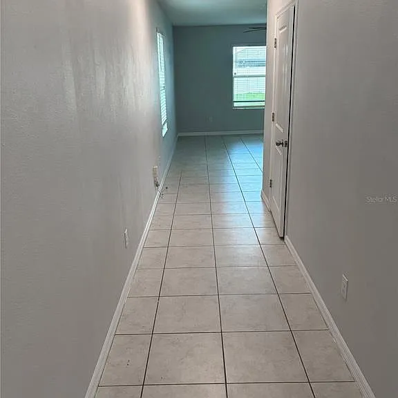 861 Olive Conch St — Photo 12