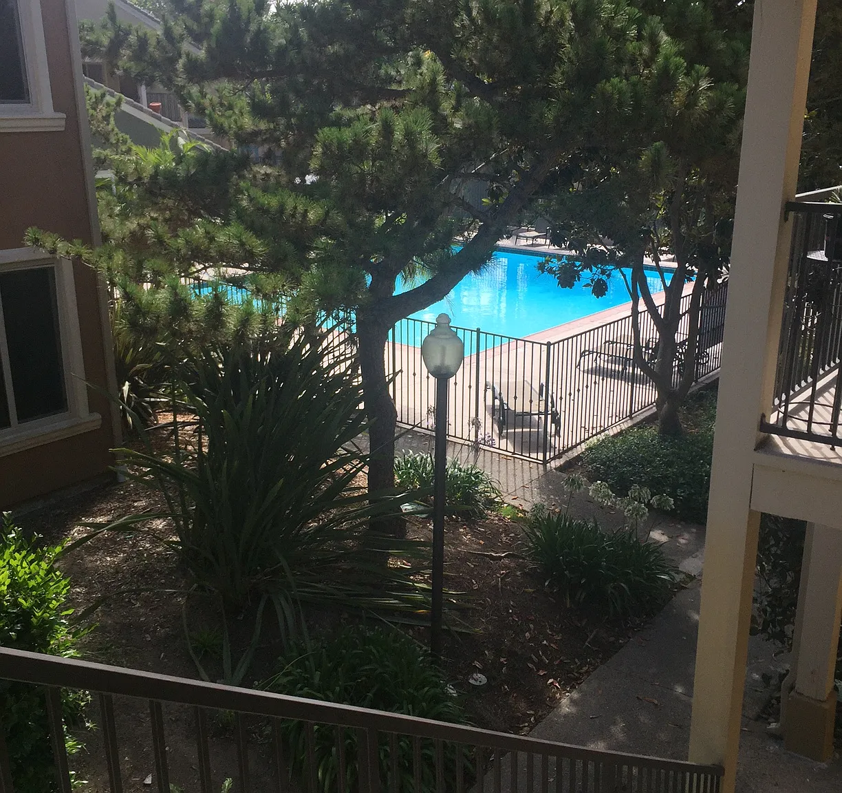 1 bed, $2,590 — Photo 3