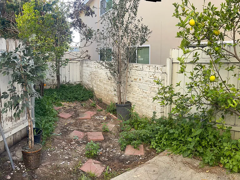 1154 E Lexington Ave #2 — Photo 20