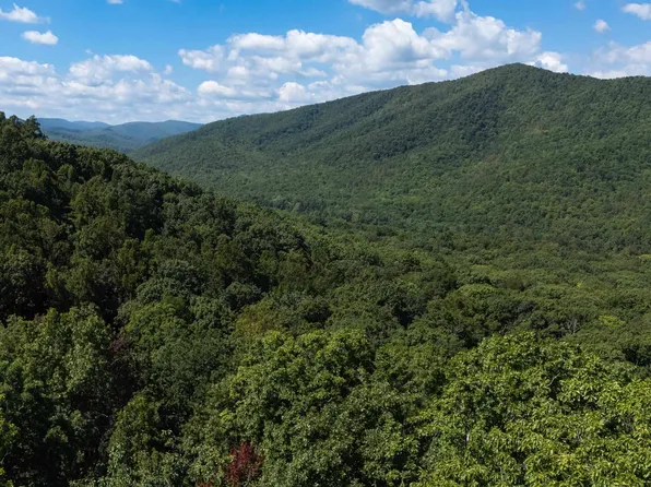 180 Bear Path Ln, Lyndhurst, VA 22952