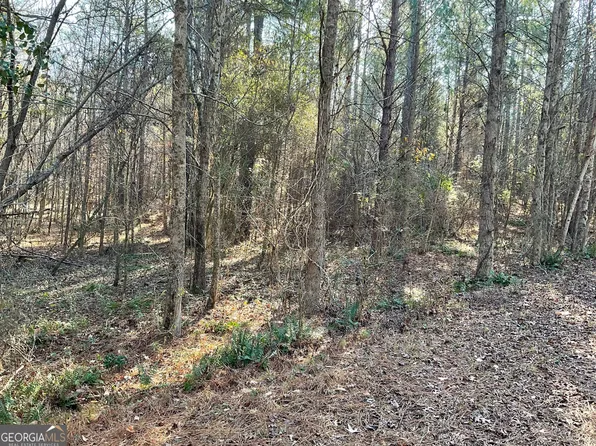 0 Erskine Dr, Monticello, GA 31064