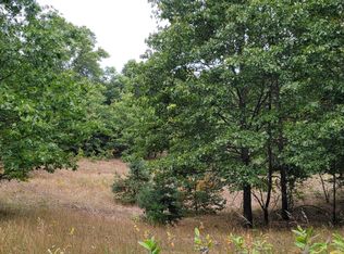 300 N 56th Ave, Shelby, MI 49436