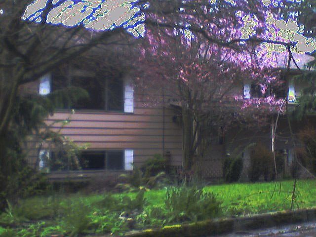 Front view from left roadside