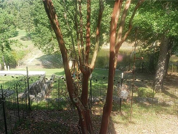 5th image of 11064 Staghorne Dr