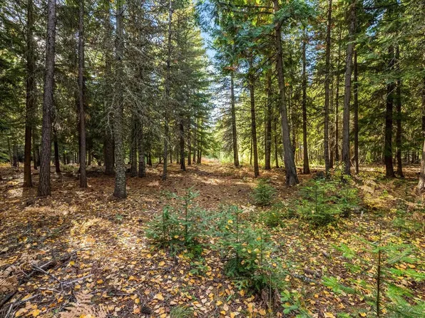 Nna Morris Rd, Naples, ID 83847