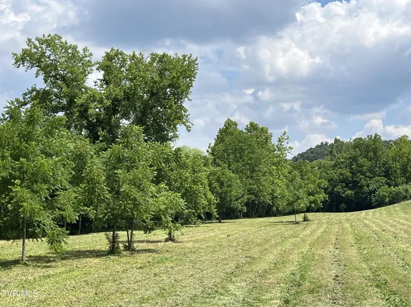 0 Old Highway 113, Rogersville, TN 37857