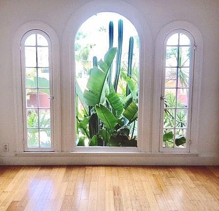 living room windows