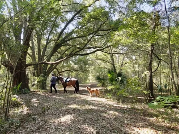 15422 SW 50th Ave, Archer, FL 32618