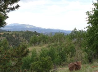 144 Golden Cycle Cir, Cripple Creek, CO 80813
