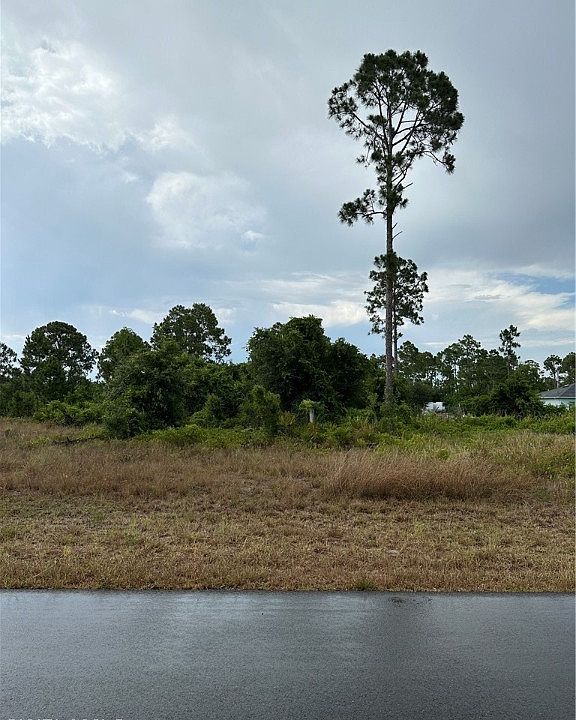 1st image of 1245 Edelweiss St E