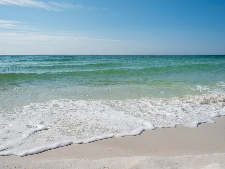 Window View
