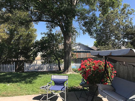 Lrg  back yard w/fruit trees
