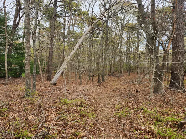 0 Commons Way, Brewster, MA 02631
