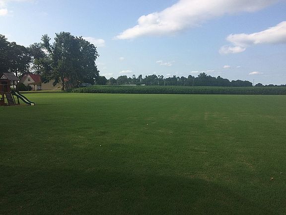 Beautiful view from backyard