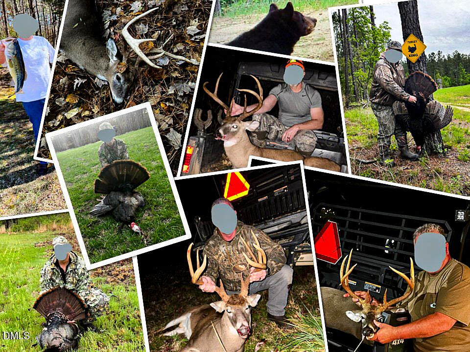 79th image of this home