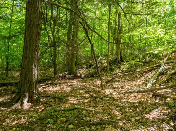 Tbd Cottage Road Town Of Liberty Grv, Ellison Bay, WI 54210