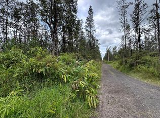 16-1999 Hopue Rd, Kurtistown, HI 96760