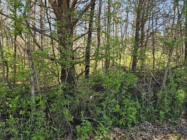 Channel Dr, Louisville, TN 37777
