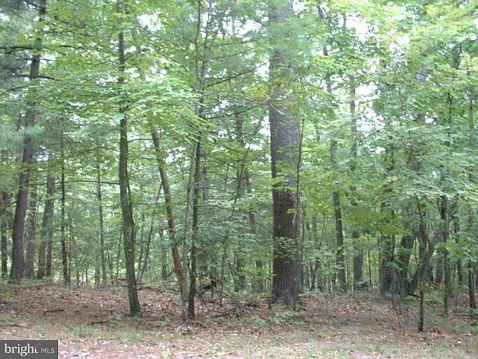 2nd image of Brenda Ln