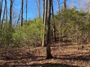 92 Oliver Creek Rd, Ellijay, GA 30536