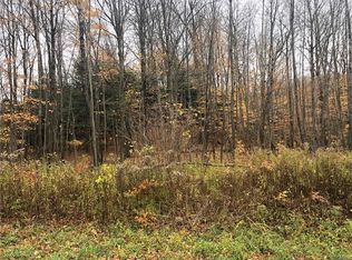 11399 Lowe Rd, Rodman, NY 13682