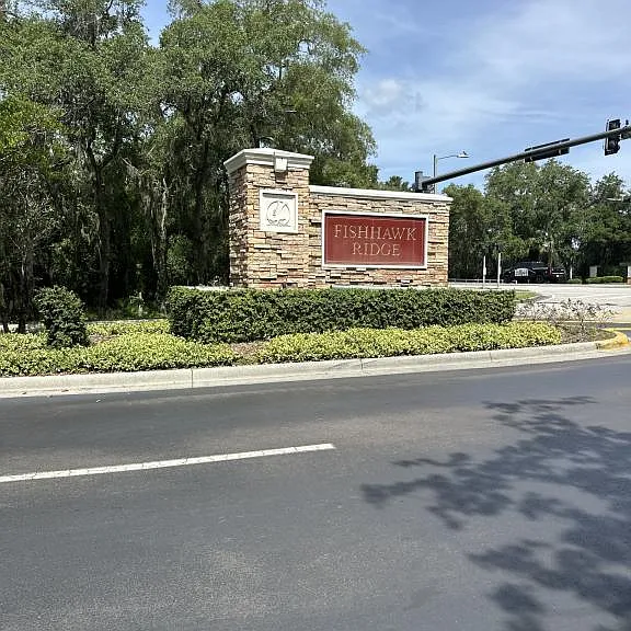 15752 Fishhawk Falls Dr — Photo 2