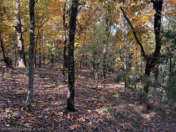 4th image of TRACT 2 Benson Ln