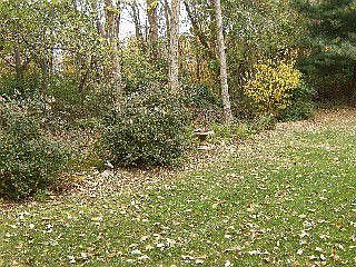 View from Living Room