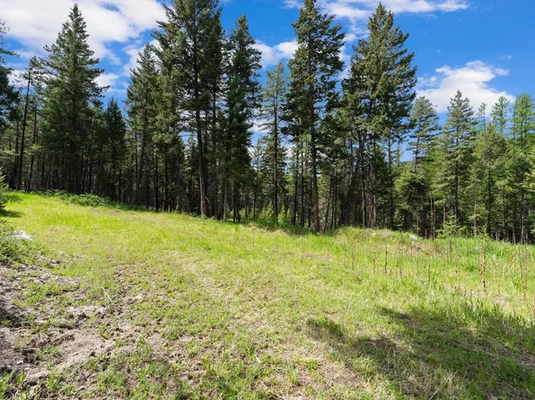 433 Buffalo Trl, Somers, MT 59932