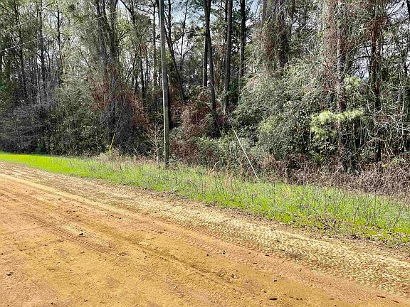 3rd image of Tbd Sneads Dr