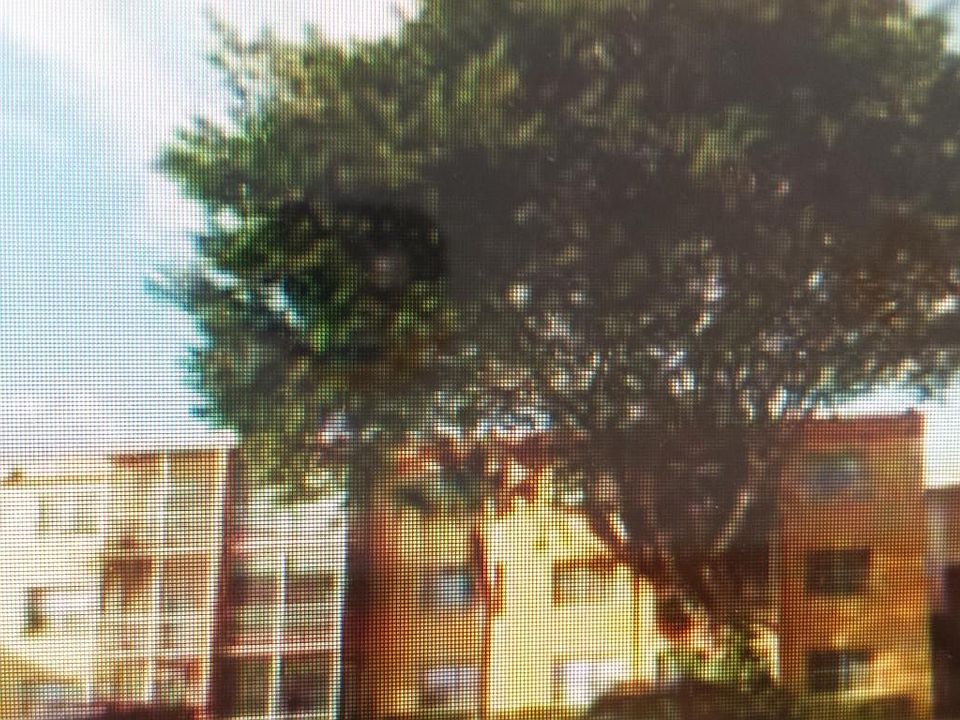 FRONT VIEW OF CONDO