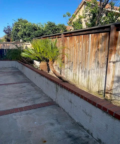 12 Firethorn — Photo 18
