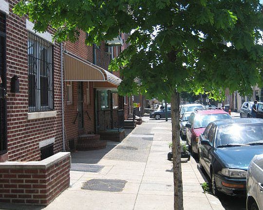 Tree in front of property
