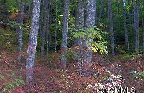 2nd image of VL74 Hartwell Dr